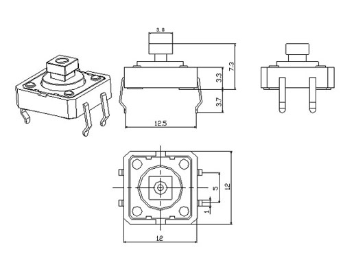 PT-003-C1.jpg